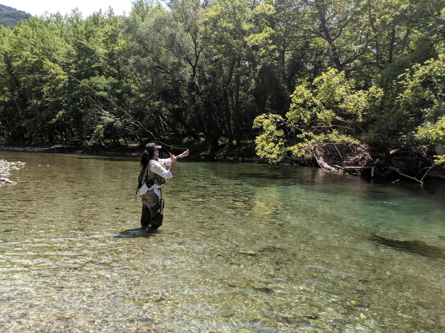 Greece — Mountain Trout